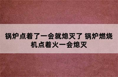 锅炉点着了一会就熄灭了 锅炉燃烧机点着火一会熄灭